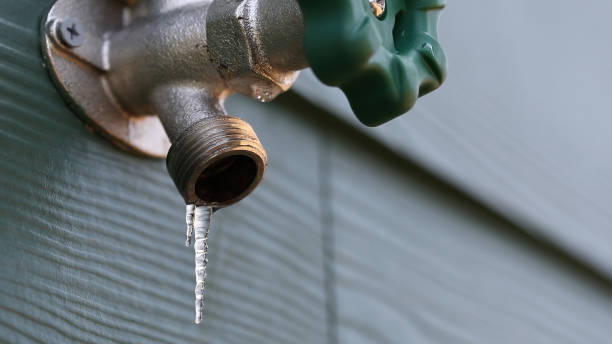 Best Shower Repair Services  in Maeser, UT